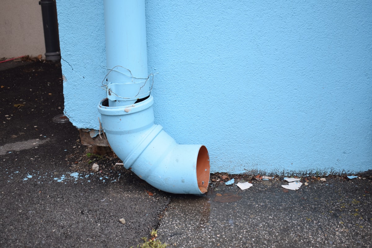 Mold Remediation service in Davie, FL
