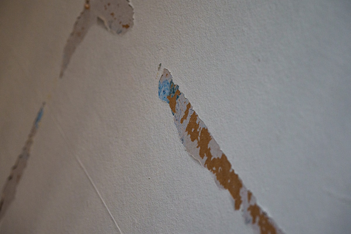 Flood Cleanup service in Davie, FL